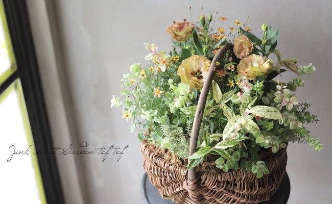 Ȭ�ź餭�ȥ륳�����祦�� �إ�������ץꥳ�åȡ�