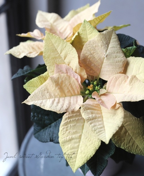 �ݥ��󥻥������إ�����ɡ�