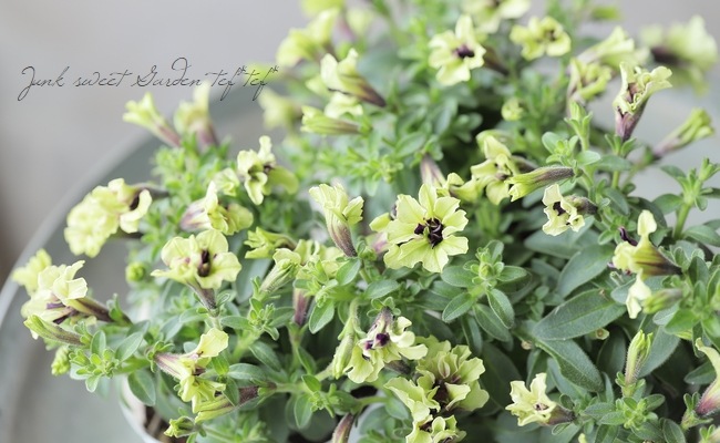 4_000000022133.jpg?1746540011