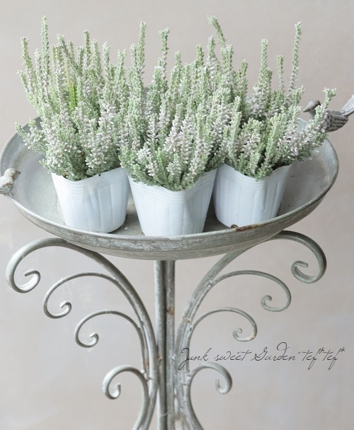 ���ե��롼�ʡ��إ��奨��ɥ��åץ����ץ���ʡ�