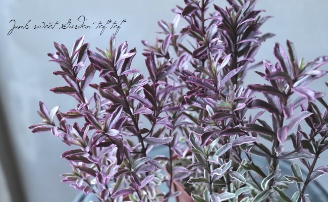 �ء��١��إ����������٥��