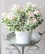 �����ꥼ��˥��ࡦ���åץ�֥��å��ࡡ�إۥ磻�ȥ����ǥ��󥰡�