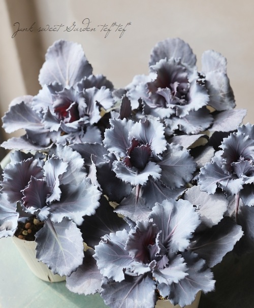 ޥĥХեեवղðإ֥롼åɡ