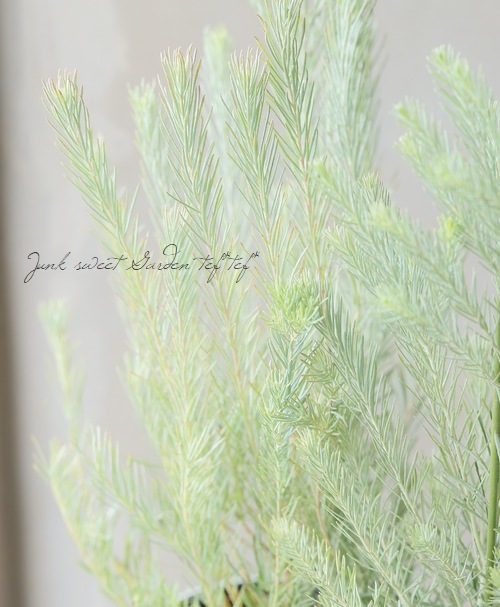 桼ꡡإϡǥޥ꡼ إեޥˡ