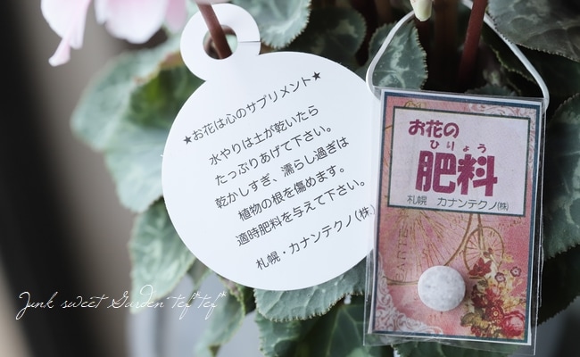 ���ź餭�������󡡡إ����������ԥ󥯥Х����顼��