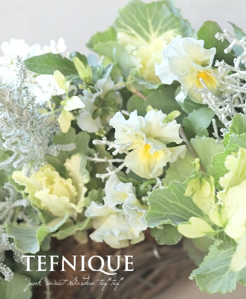 �ڴ󤻿�����-TEFNIQUE-�󤻿����꡼�� 2025 * no.9 *���ߥ륭���ۥ磻��Xmas�꡼����