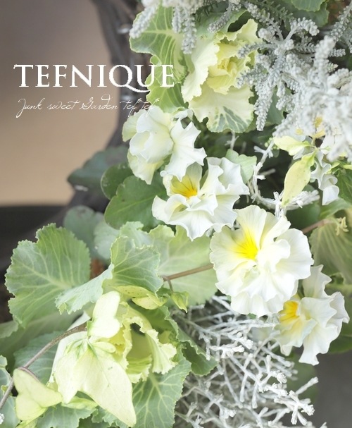 �ڴ󤻿�����-TEFNIQUE-�󤻿����꡼�� 2025 * no.9 *���ߥ륭���ۥ磻��Xmas�꡼����