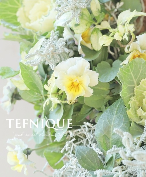 寄せ植え】-TEFNIQUE-寄せ植えリース 2025 * no.9 * ミルキーホワイト
