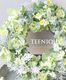 �ڴ󤻿�����-TEFNIQUE-�󤻿����꡼�� 2025 * no.9 *���ߥ륭���ۥ磻��Xmas�꡼����