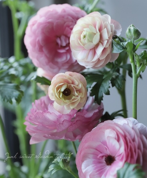 ラナンキュラ様 リクエスト 10点 まとめ商品 ラナンキュラ様 リクエスト 10点 まとめ商品 ラナンキュラス様