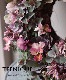 -TEFNIQUE-�󤻿����꡼�� 2020 * no.57 *�����å��ʥ���ƥ������꡼����