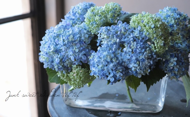 դ۲֡ޤ餭ػĻ -ߥɥ- ޤ