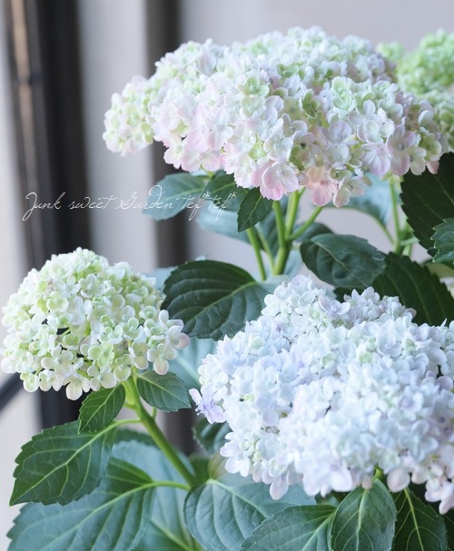 դ۲֡ޤ餭ػĻ -ߥɥ- ޤ