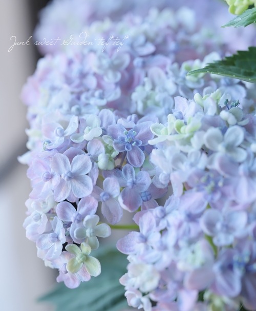 դ۲֡ޤ餭ػĻ -ߥɥ- ޤ