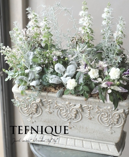 寄せ植え】-TEFNIQUE-寄せ植え 2022 * no.2 * 『清楚でエレガントに秋