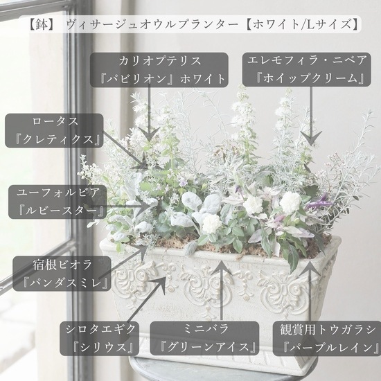 寄せ植え】-TEFNIQUE-寄せ植え 2022 * no.2 * 『清楚でエレガントに秋