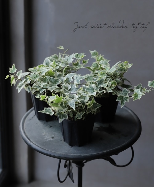 �إǥ顡�ؾ���١��������व��