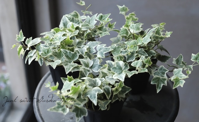 �إǥ顡�ؾ���١��������व��