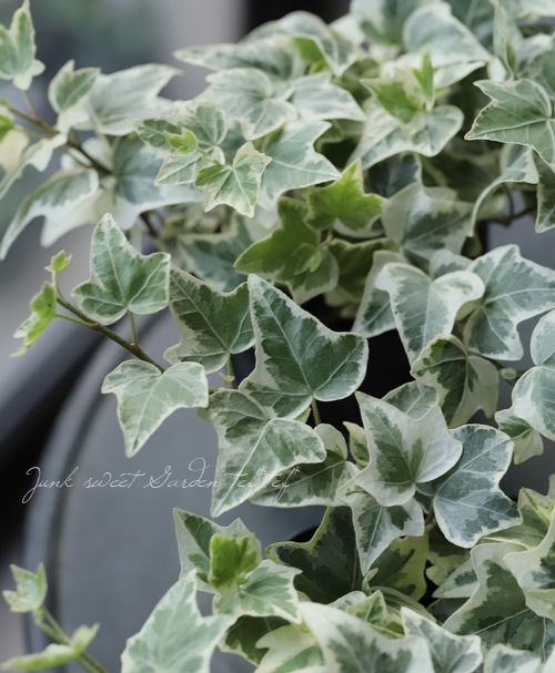 �إǥ顡�ؾ���١��������व��