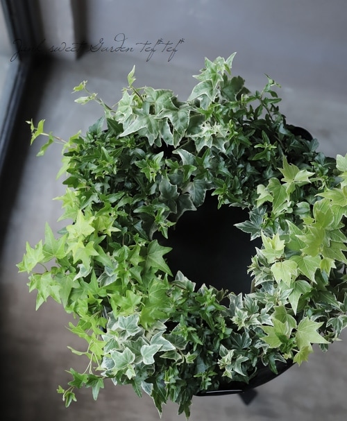 �إǥ顡�ؾ���١��������व��