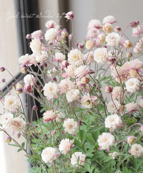 ��LUXURY SELECTION��tef*tef*���ꥸ�ʥ롪Ȭ�ź餭�����ޥ����إ��饷���륻�ԥ��� �����1��ʪ��D��