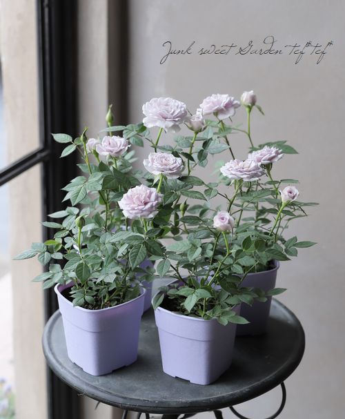 �ߥ˥Х顡�إ����󥿡��ޥ��å��١�����