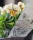 LUXURY SELECTIONtef*tef*ꥸʥ ӥإե⥫١