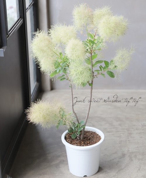 2_000000016136.jpg?1622988123