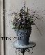 �ڴ󤻿�����-TEFNIQUE-�󤻿��� 2022 * no.03 *������ͥ��å��ʥϥ�������ࡼ�ɡ�