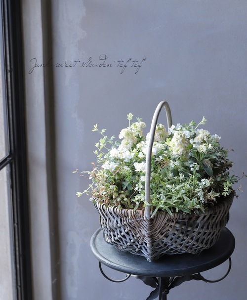 �����������إ֥�ॹ�ȡ���١��٤�����ʬ������롪