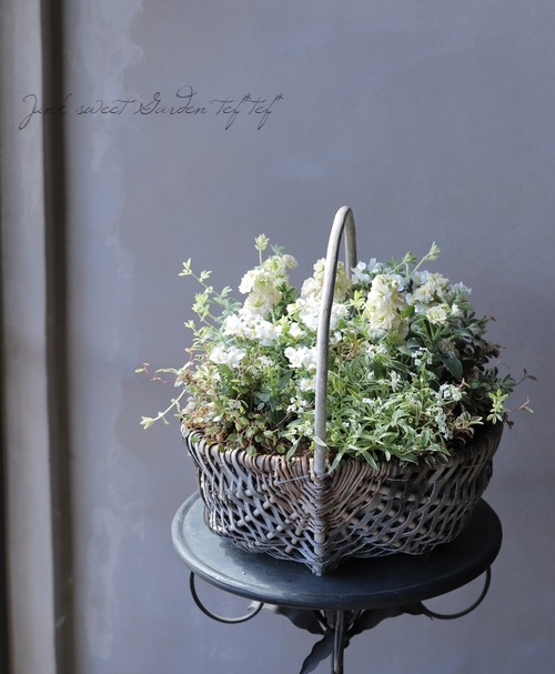 �����������إ֥�ॹ�ȡ���١��٤�����ʬ������롪