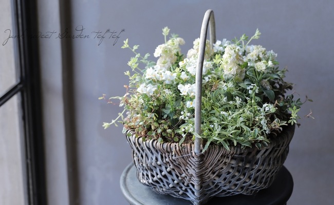 �����������إ֥�ॹ�ȡ���١��٤�����ʬ������롪