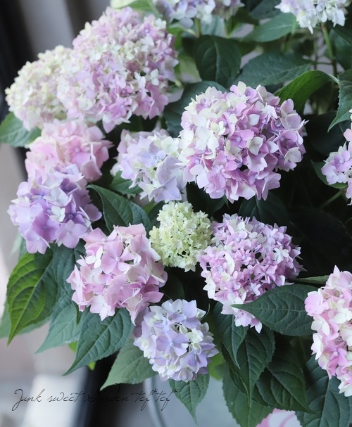 �ڵȲ���Ҥ���ۤƤޤ�餭���۲� �ؤƤƤƤޤ�� �ԥ�