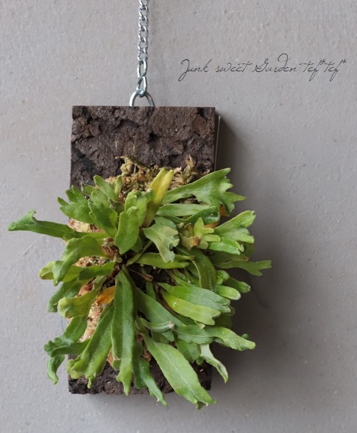 ڴտʪۥҥȥĥСؼѲ١