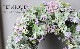 -TEFNIQUE-󤻿꡼ 2019 * no.127 *ͥץĥΥ꡼