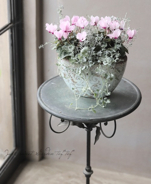 TEFNIQUE-寄せ植え 2020 * no.36 * 『ほんのりピンクキラキラリーフ