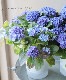 Ķ�쥢�����纬���ꥸ�ʥ��ʼ�� Ȭ�ź餭���۲� �������Ĥ�� �֥롼
