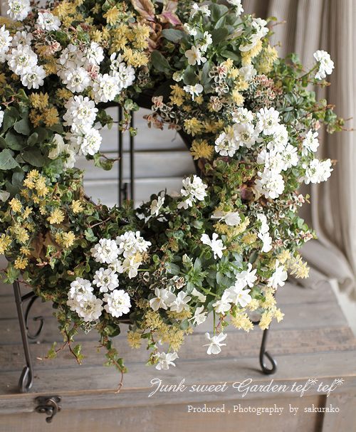 香るアロマタイム　根付き苗　分割5苗 香るアロマタイム 根付き苗 分割5苗 Amazon.co.jp: チャーム