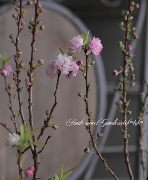 Ȭ�ź餭���إ˥略����١����� 