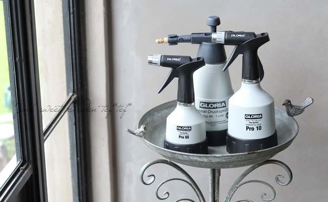 �ڻ��ߡۥɥ��ġ�GLORIA�� ���߰���ʮ̸��ϥ�ɥ��ץ졼�� �ѥå����ѥ��ꥹ��° 1L������