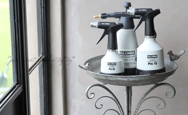 �ڻ��ߡۥɥ��ġ�GLORIA�� ���߰���ʮ̸��ϥ�ɥ��ץ졼�� �ѥå����ѥ��ꥹ��° 1L������