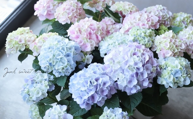 ���۲֡��إޡ��֥륽������ �֥롼 ����