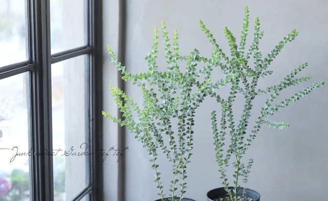 �����ե������� �إ���ȥ�ե���ߥ���