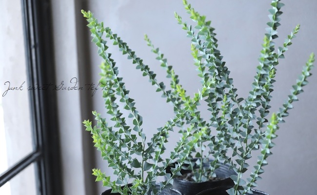 �����ե������� �إ���ȥ�ե���ߥ���