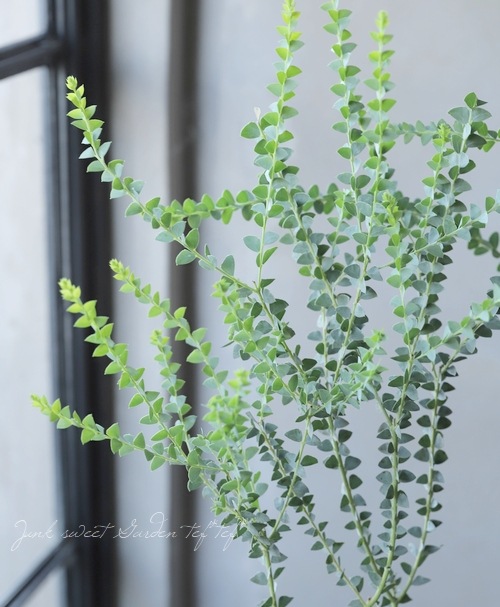 �����ե������� �إ���ȥ�ե���ߥ���