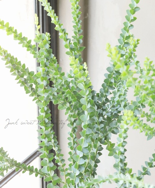 �����ե������� �إ���ȥ�ե���ߥ���