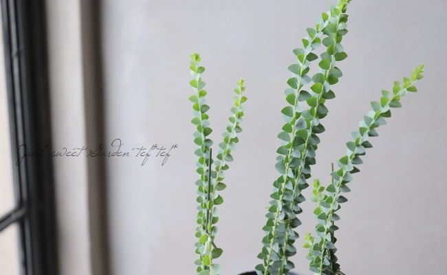 �����ե������� �إ���ȥ�ե���ߥ���