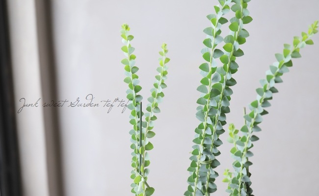 �����ե������� �إ���ȥ�ե���ߥ���