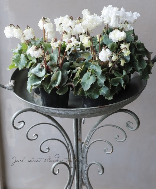 WCCF 全バージョン白黒3000枚 バラ売り可 WCCF 全バージョン白黒3000枚 バラ売り可 WCCF 全バージョン白黒3000枚