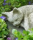 �ڻ��ߡ� �ѹ�SPARTA STATUES ��Small Cat A�� �����ǥ󥪡��ʥ���